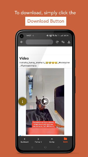 HDVid: Video Downloader Lite Screenshot 1