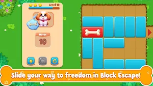 Block Escape: Relax Toy Screenshot 3