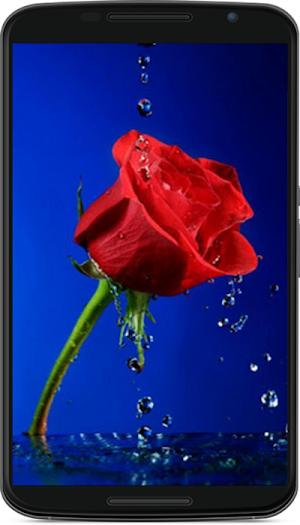 flower wallpaper Screenshot 2