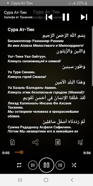 Сура Ат-Тин аудио Screenshot 1