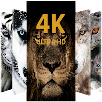 Animal Wallpapers