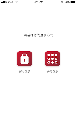 YESsafeToken+ 4 Screenshot 1