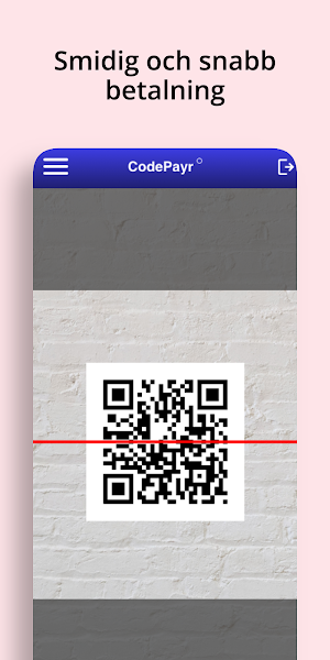 CodePayr Screenshot 2