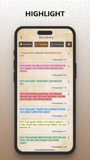 Svenska Bibeln (Swedish Bible) Screenshot 3