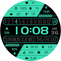 Fresh Green LCD ZKin Watch