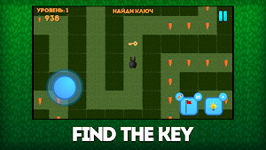 Bunny Run! Lost in the Maze Screenshot 2
