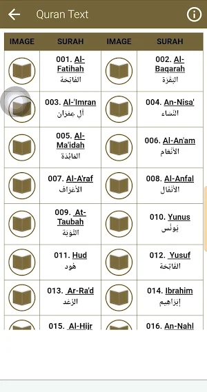 ماهر المعيقلي القران الكريم Screenshot 3