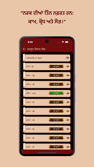 Bhagavad Gita Punjabi Screenshot 1