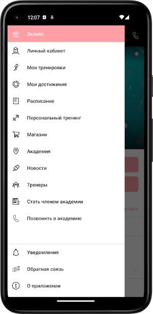 Эклипс Академия Воздушной Акр. Screenshot 2
