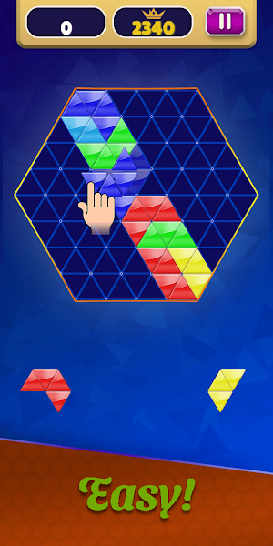 Block Hexa Puzzle - Trai Hexa Screenshot 0