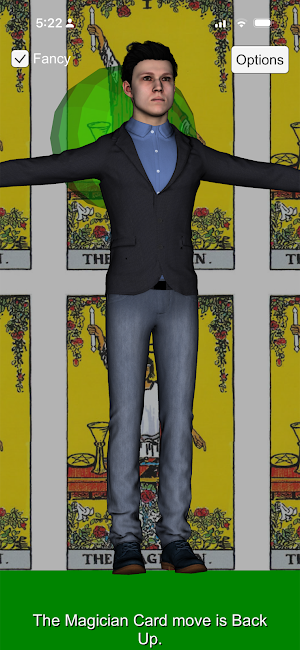 Tai Chi Tarot Screenshot 2