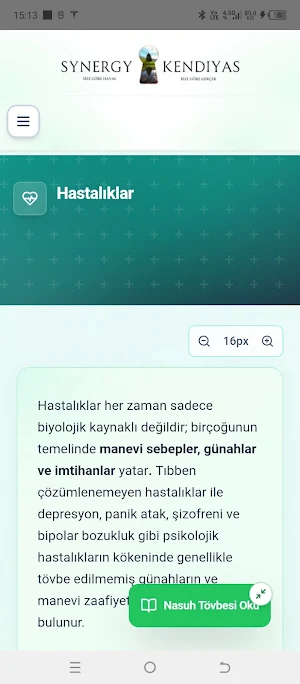 Synergy Kendiyas Screenshot 1