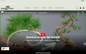 Bonsaisense iSchool Screenshot 3