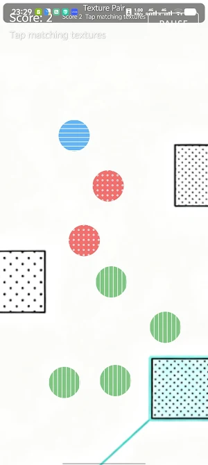 TexturePairMatch Screenshot 2