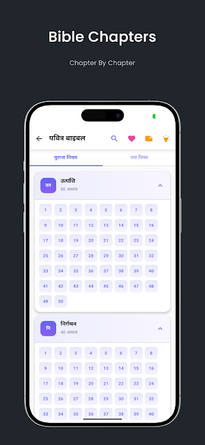 Hindi Bible – Audio & Songs Screenshot 2