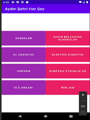 Aydın Şehri Her Şey Screenshot 3