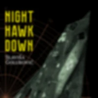 Night Hawk Down