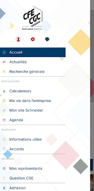 CFE-CGC Schneider Electric Screenshot 2