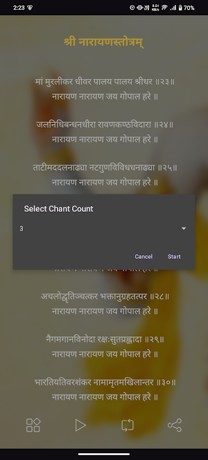 Narayan Stotram With Audio Screenshot 3