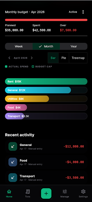 Budget Tracker - Ruphi AI Screenshot 1