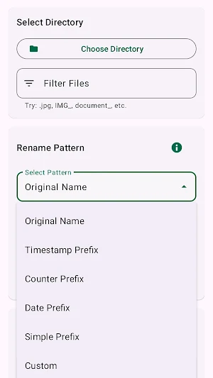 Batch Rename & Organizer Screenshot 2