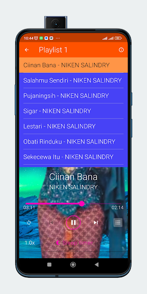 Ciinan Bana - Niken Salindry Screenshot 2
