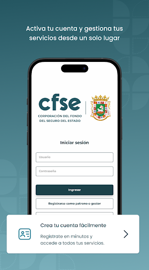 CFSE Mobile Screenshot 0