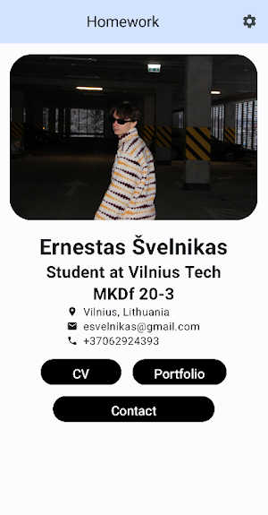 Ernestas Švelnikas CV Screenshot 2