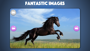 Horse games and Pony jigsaw puzzle for kids 🐎🐴🧩 Screenshot 0
