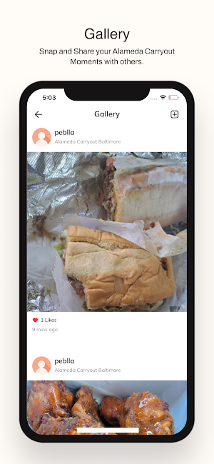 Alameda Carryout Screenshot 3