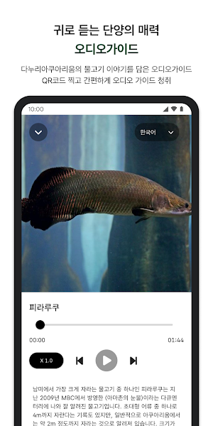 단양갈래 Screenshot 3
