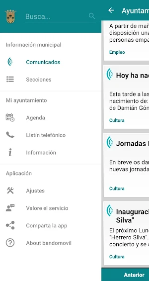 Ayuntamiento de Odón Screenshot 0