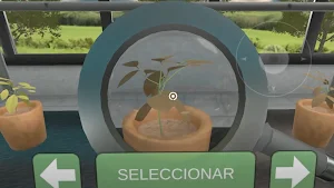 Semillas a Plántula de Marañon Screenshot 2