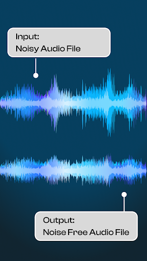 Audio Video Noise Reducer V2 Screenshot 2
