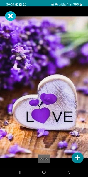 Love Flower Wallpaper Screenshot 2