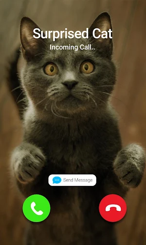 Fake Call Prank- Animals Screenshot 3