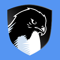 Falcon Academie