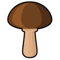 Mushroom Box