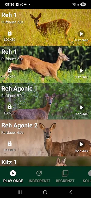 Rehbock Rufe – Roe Deer Calls Screenshot 0