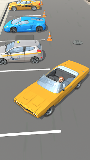 Park Master: Valet Parking Screenshot 2