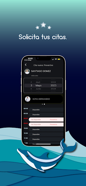 DolphinApp Screenshot 3