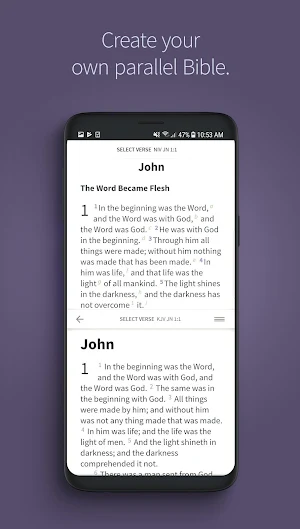 Bible App by Olive Tree screenshot 6