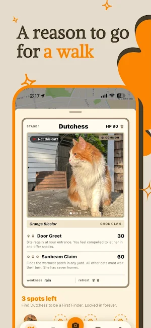 Chonk Finder Screenshot 0