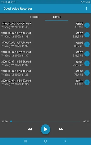 Good Voice Recorder - Sound & Audio Recorder Screenshot 3