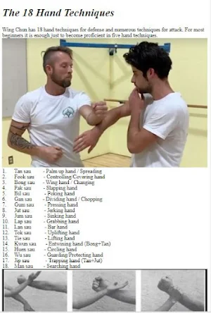 Wing Chun Fight Tutorial Screenshot 1