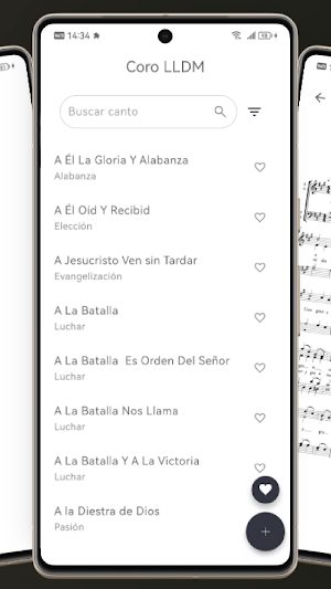 Coro LLDM Screenshot 1