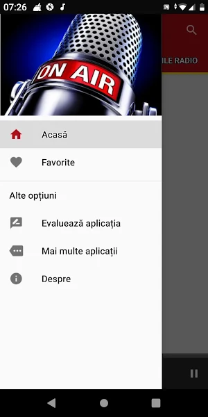 Radiouri de Manele Screenshot 2