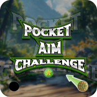 Pocket Aim Challenge