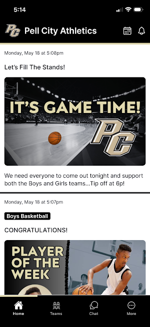 Pell City Panthers Screenshot 0