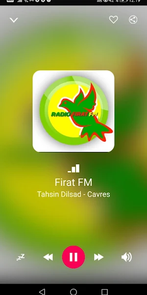 Kurdistan Radio Stations Screenshot 2
